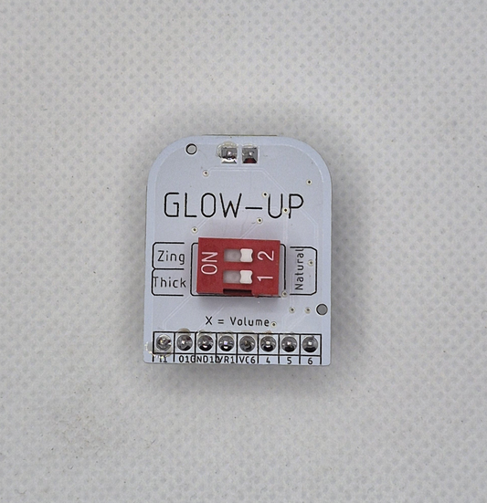 X Module VGU Glow-Up